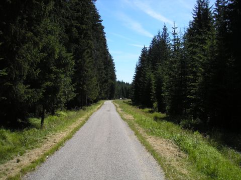 Foto 37